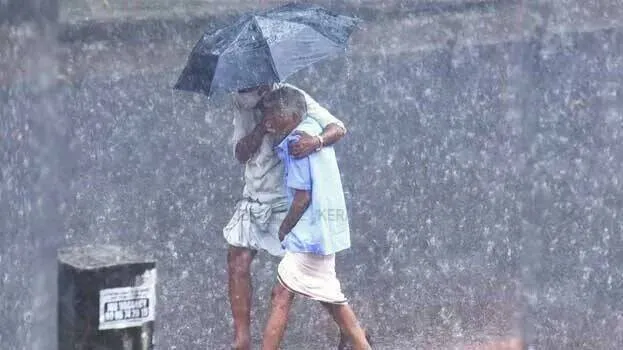 rain