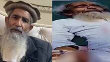 amir-hamza