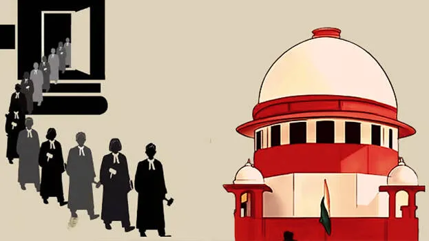 court-