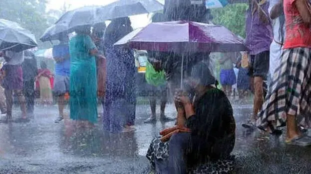 rain