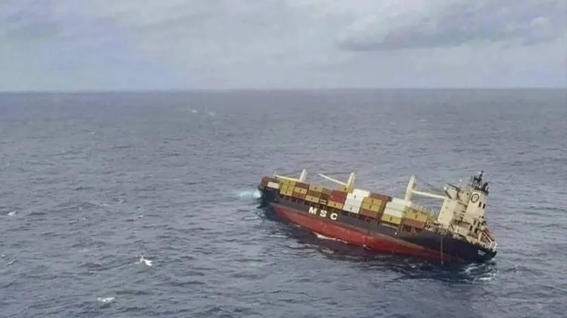 msc-elsa-3