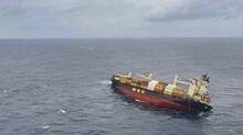 msc-elsa-3