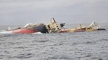 msc-elsa-3