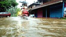 kozhikode-