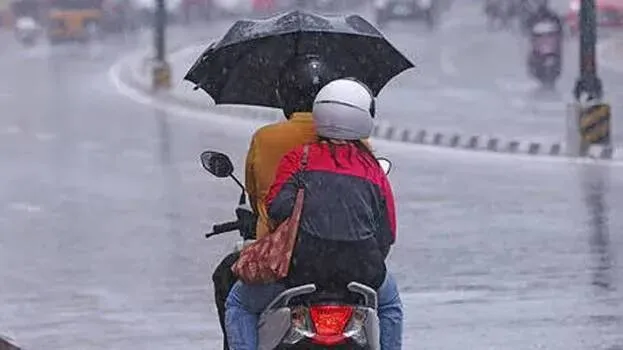 rain