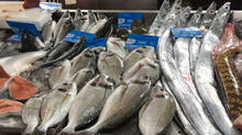 sea-fish