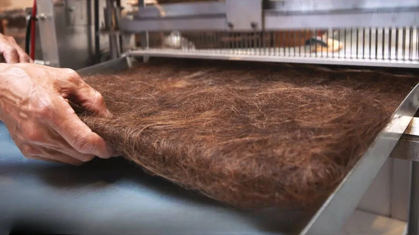 hair-