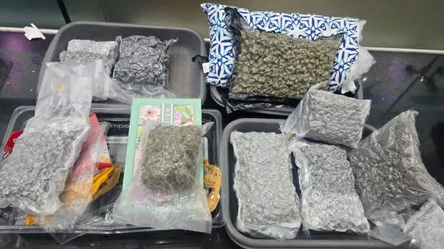 hybrid-cannabis