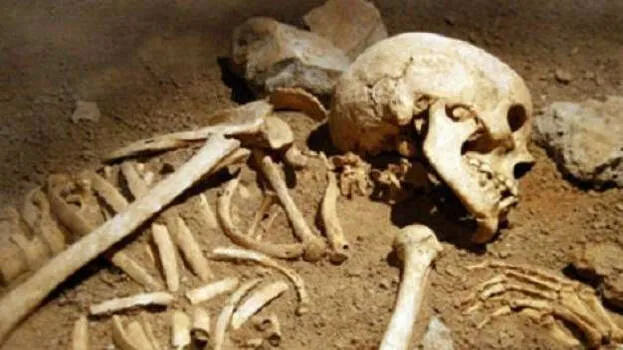 skeleton
