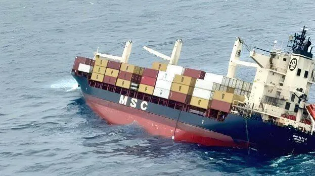 msc-elsa-3
