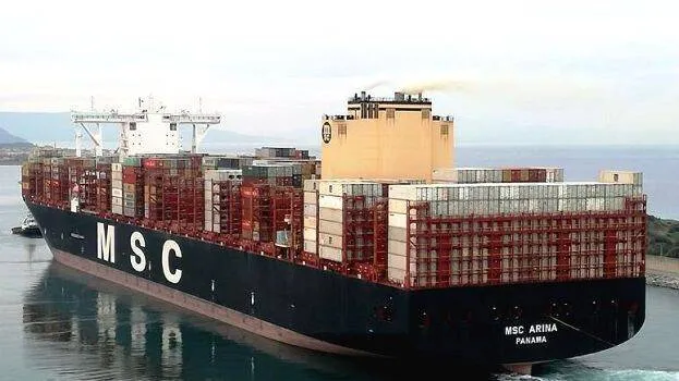 msc-irina