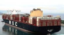 msc-irina