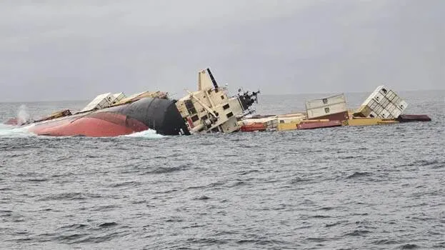 msc-elsa-3-