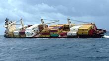 msc-elsa3