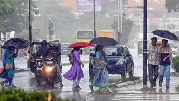 rain