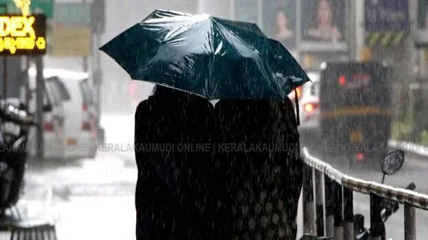 rain