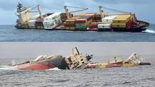 msc-elsa