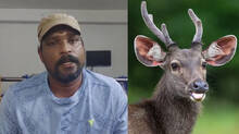 sujesh-