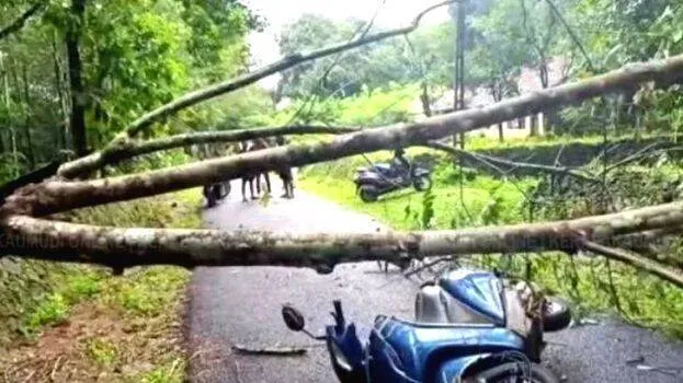 rain-havoc-in-kerala-