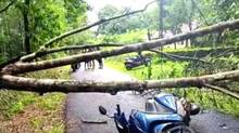 rain-havoc-in-kerala-