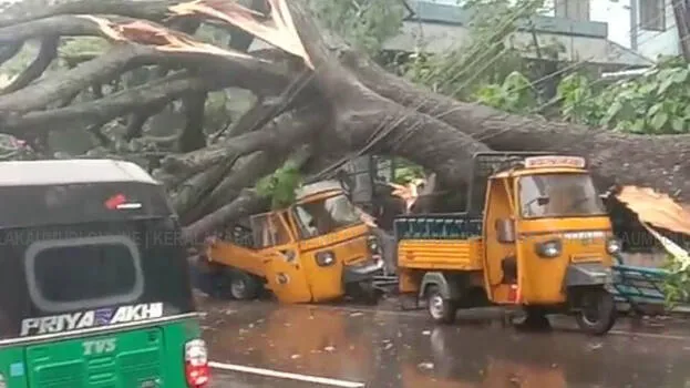 rain-fury-kerala-