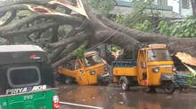 rain-fury-kerala-