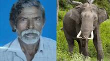 kumar