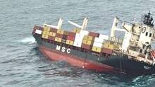 msc-elsa-3
