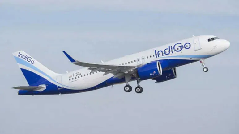 indigo-flight