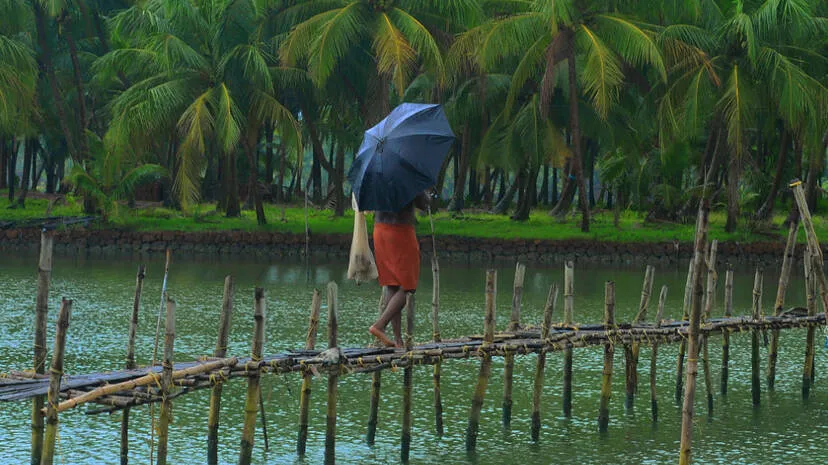 monsoon