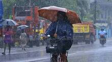 rain