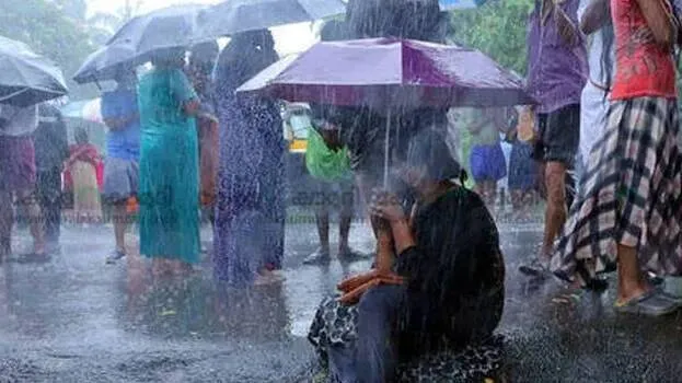 rain