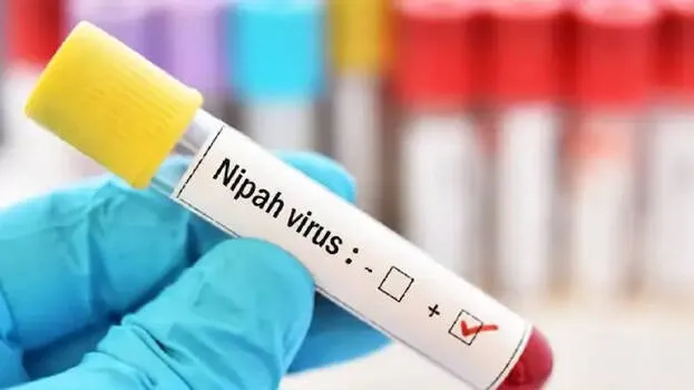 nipah