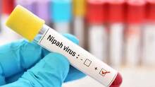 nipah