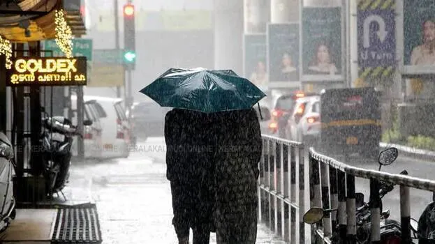 rain