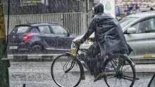 rain