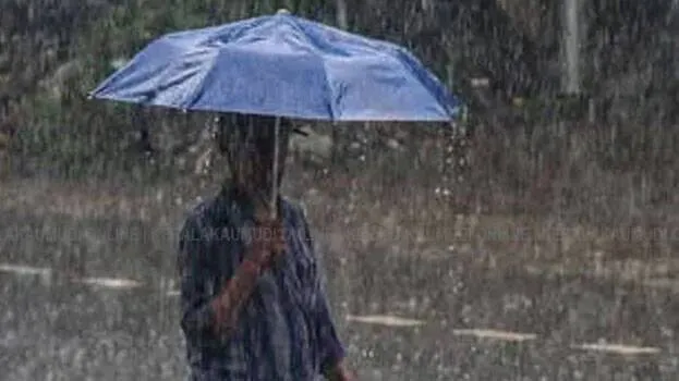 rain