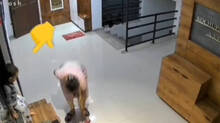 four-year-old-girl-falls-