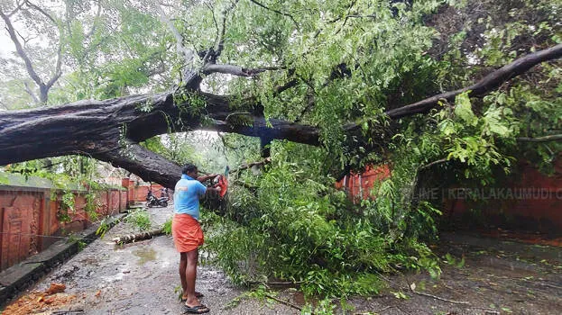 kannur-rains-kerala-