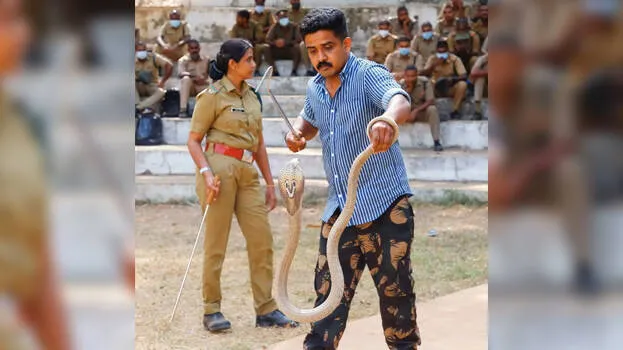 snake-catching