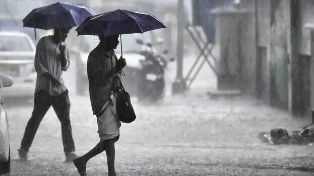 rain