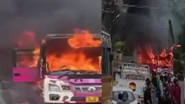 bus