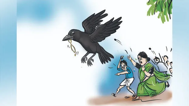 crow-
