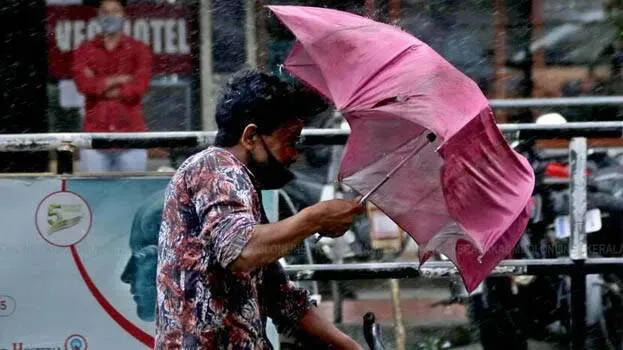 rain