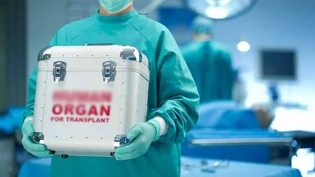 transplantation