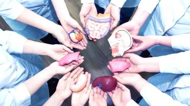 organ-donation-