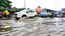 rainfall-
