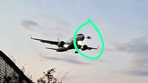 bird-strike-at-thiruvanan