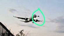 bird-strike-at-thiruvanan