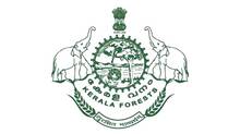 forest-